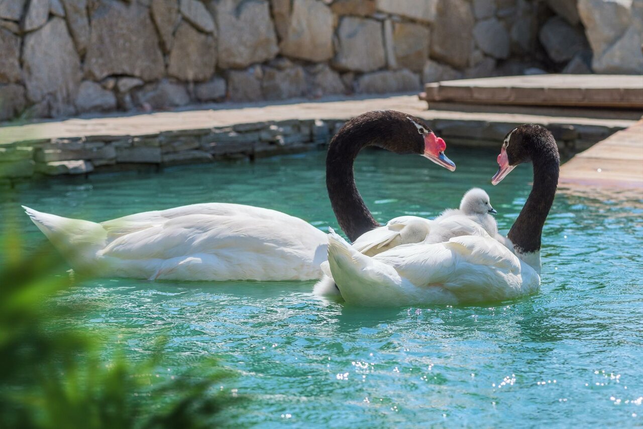 Гостиница Ялта-Интурист Ялта-247