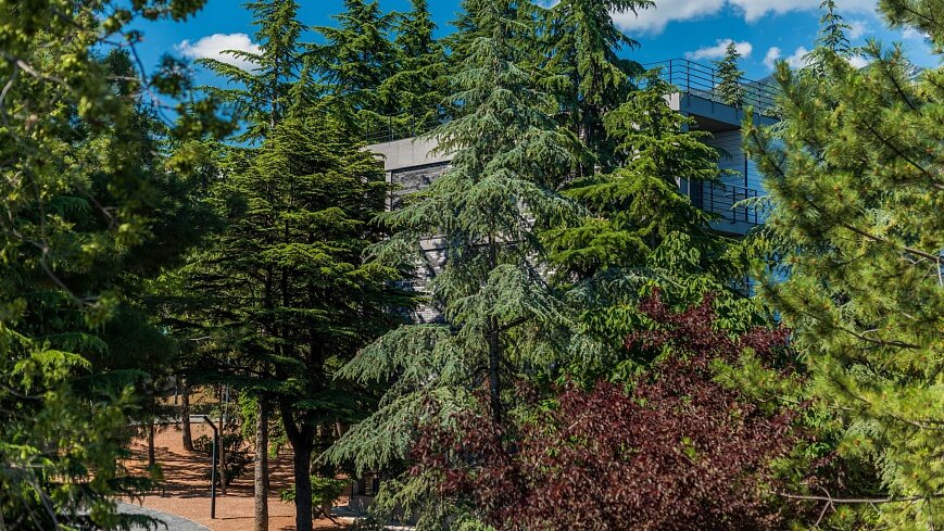 Гостиница Ялта-Интурист Ялта-136