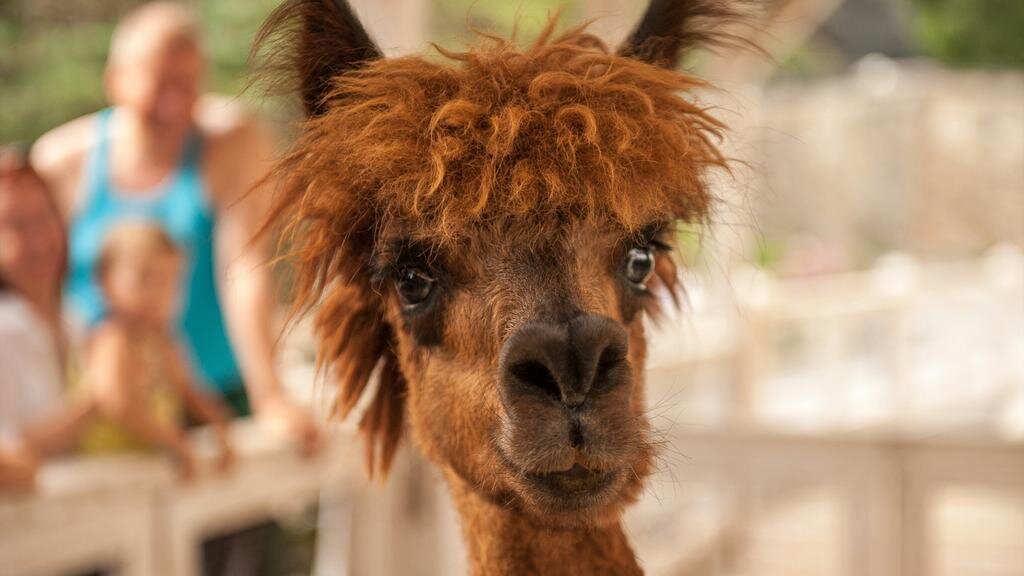 Гостиница Ялта-Интурист Ялта-25