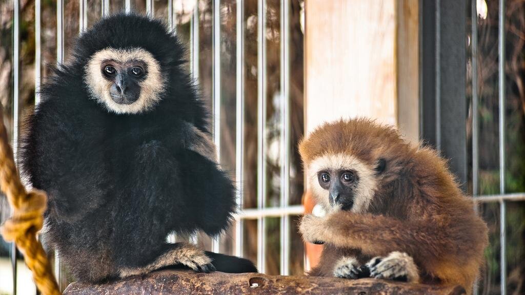 Гостиница Ялта-Интурист Ялта-151