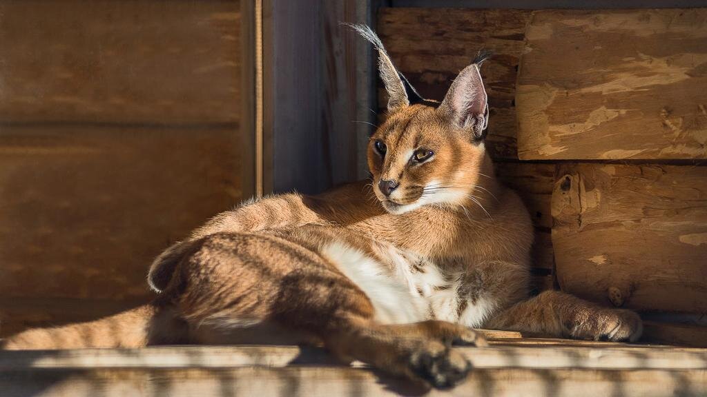 Гостиница Ялта-Интурист Ялта-143