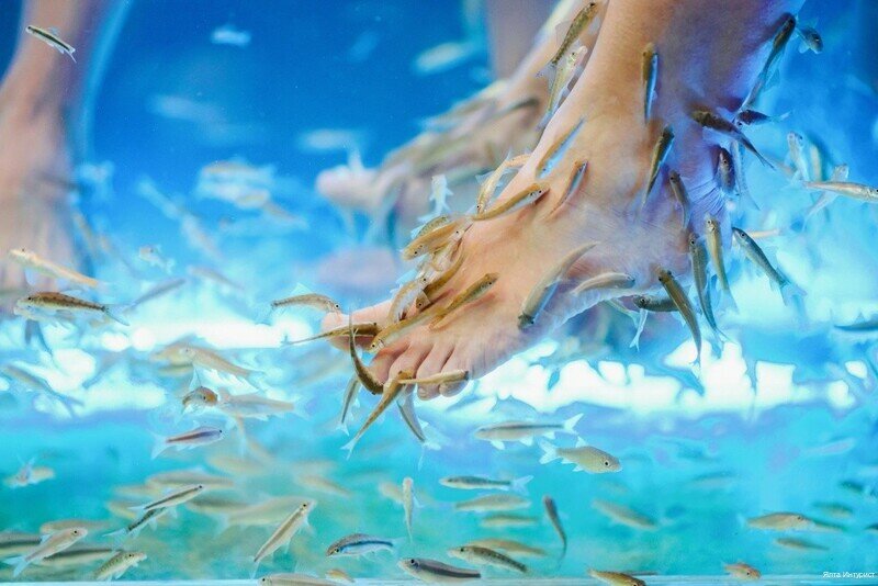 Гостиница Ялта-Интурист Ялта-106