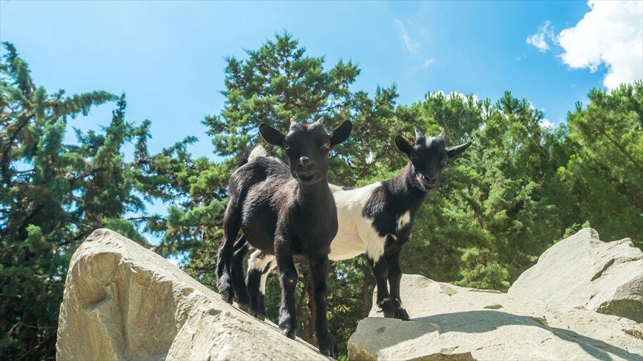 Гостиница Ялта-Интурист Ялта-120