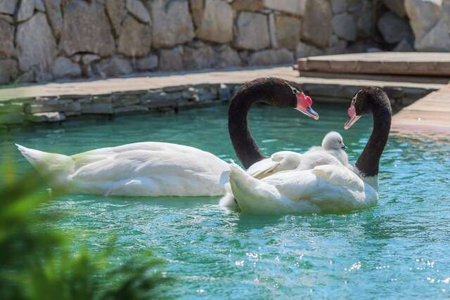 Гостиница Ялта-Интурист Ялта-246