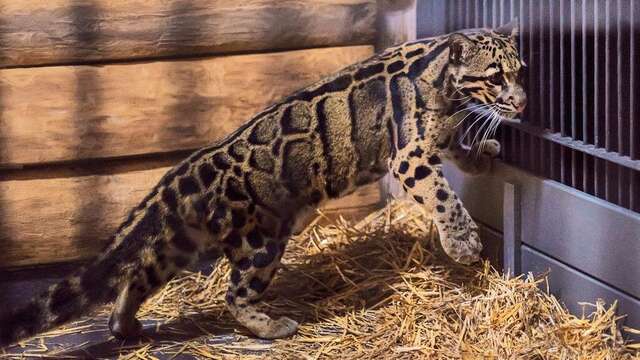 Гостиница Ялта-Интурист Ялта-115