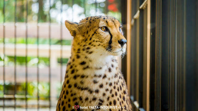 Гостиница Ялта-Интурист Ялта-69