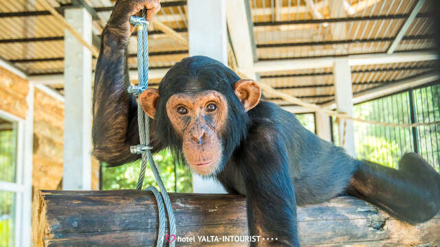 Гостиница Ялта-Интурист Ялта-97